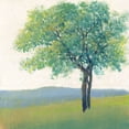 thumbnail image 2 of OToole, Tim 15x15 Gold Ornate Wood Framed with Double Matting Museum Art Print Titled - Solitary Tree II, 2 of 4