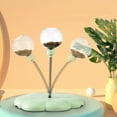 thumbnail image 4 of Cschome Cat Toys Interactive Cat Feeder Toys Cat Feeder Spring Toys Indoor Cat Toys, 4 of 7