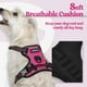 thumbnail image 2 of Arnés para perros Rabbitgoo, ajustable, sin tirones, rosa intenso, XS, 2 of 7