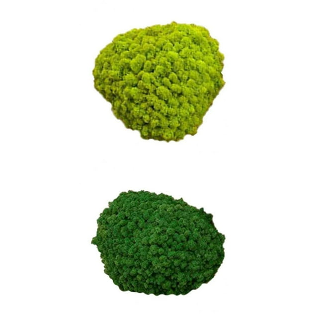 Adornos Decorativos Artificiales Del De De 2pcs 25g Para La Decoración Del Dormitorio