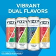 thumbnail image 3 of Vizzy Variety Pack, 12 Pack, 12 fl oz Aluminum Cans, 5% ABV, 3 of 6