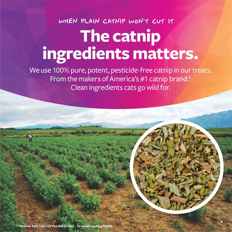 SmartyKat Freeze Dried Salmon with Catnip Pouch 0.9 oz - Walmart.com
