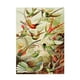 thumbnail image 1 of Rompecabezas De Colibrí, 1000 Uds., Decoración Para Aliviar El Estrés De Los Niños Adultos, Desafío De Juego Speravity FN002850-00, 1 of 6