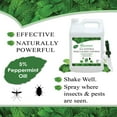thumbnail image 4 of Puremint Insect & Pest Control, Powerful & Natural 5% Peppermint Oil Spray for Ants, Spiders, Bed Bugs, Dust Mites, Roaches and More - Indoor and Outdoor Use, 128 fl oz Gallon, 4 of 6