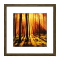 thumbnail image 1 of Forest Sunset Nature Photograph 8X8 Inch Square Wooden Framed Wall Art Print Picture with Mount, 1 of 4