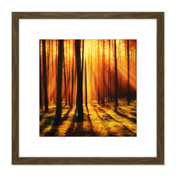 Forest Sunset Nature Photograph 8X8 Inch Square Wooden Framed Wall Art Print Picture with Mount