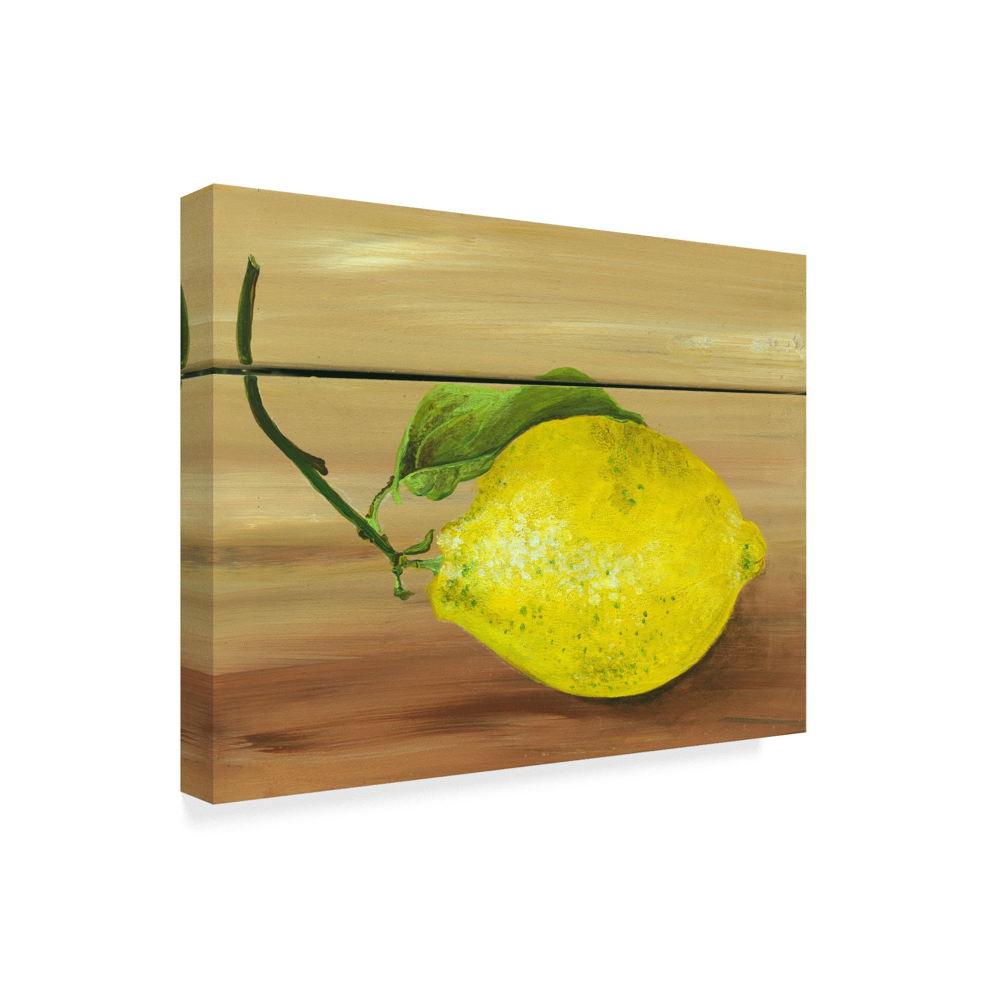 Trademark Fine Art 'Lemon On A Box' Canvas Art by Gigi Begin