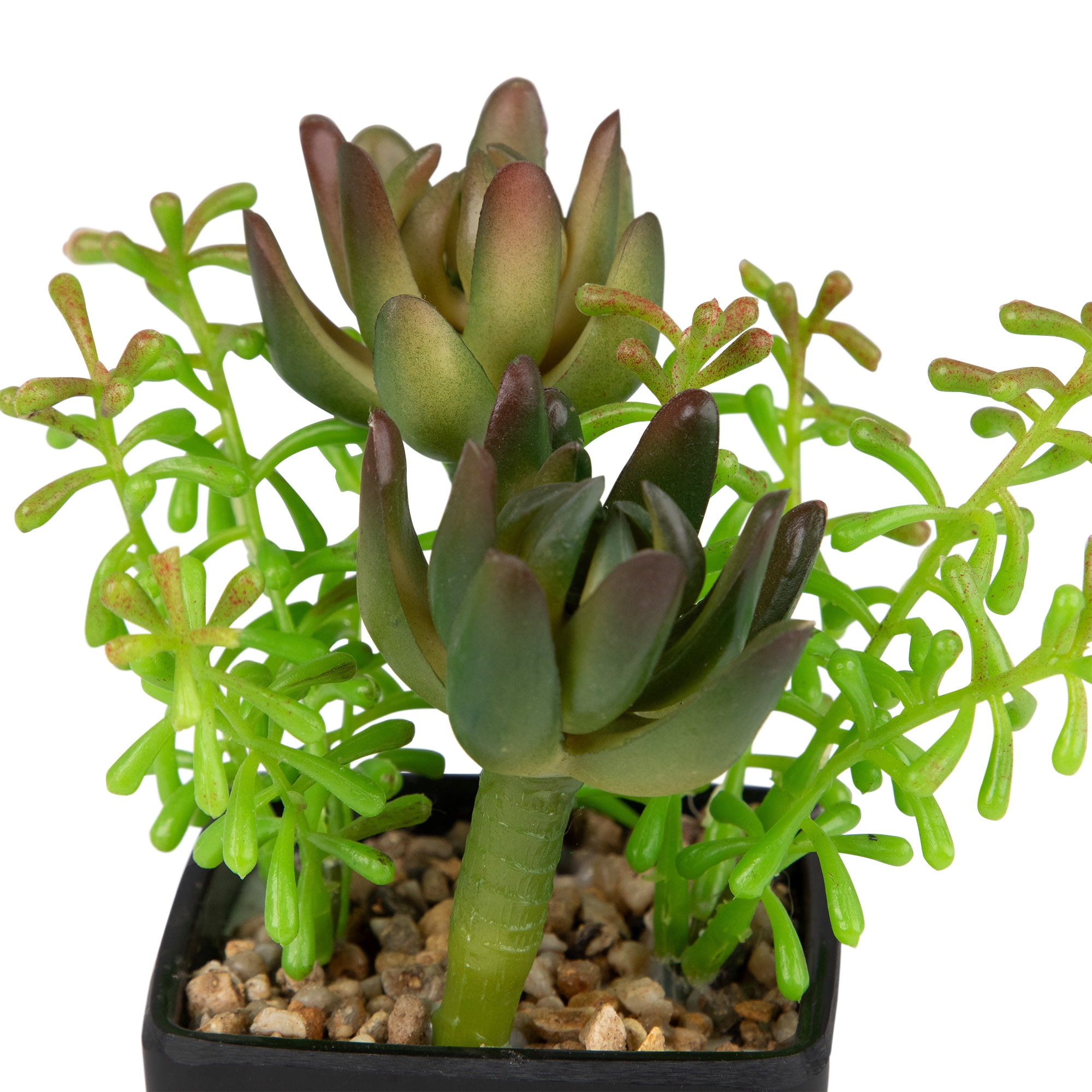 Northlight Potted Artificial Succulent Arrangement - 6"