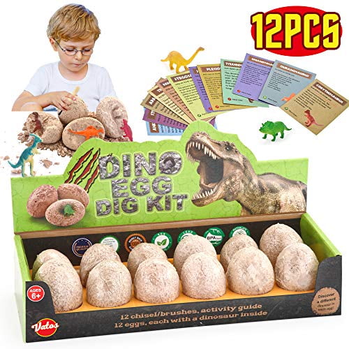 VATOS Dinosaur Eggs Dig Kit 12 Pack,Discover 12 Different Dinos, Easter  Eggs Archaeology and Paleontology Toy Dino Egg Excavation Kit STEM Toys for  
