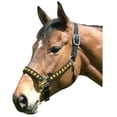thumbnail image 2 of Intrepid International 126005SV Leather Large Crown Diamond Padded Nose Halter, Black & Silver, 2 of 2