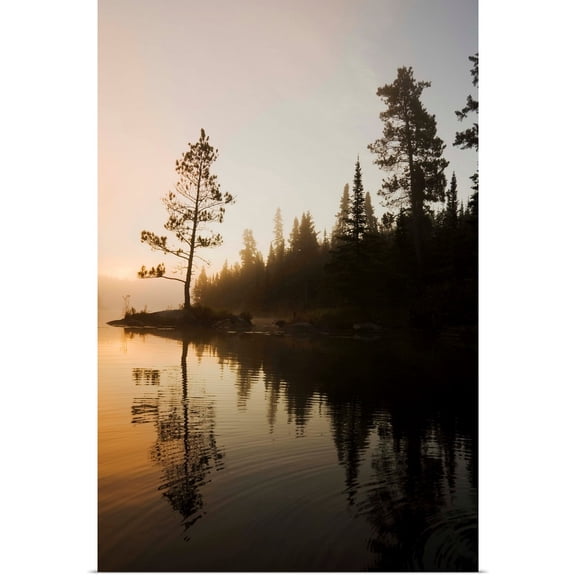 Great BIG Canvas | Rolled Dave Reede Poster Print entitled Tree Silhouettes By Rushing River, Kenora, Ontario, Canada