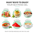 thumbnail image 5 of EverSmith Organics Irish Sea Moss Gel, Strawberry, 16 OZ, 5 of 7