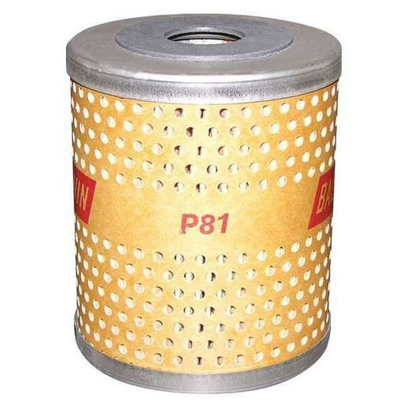 Baldwin Filters Oil Filter Element,Shunt P81
