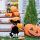 thumbnail image 4 of Silueta de jardín Halloween Scary Ground Mounted Sign Patio trasero al aire libre Decoración del patio, tipo C Vogacara HA007928-03, 4 of 6