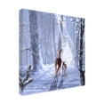 thumbnail image 3 of Trademark Fine Art The Macneil Studio Christmas Magic Canvas Wall Art - 14x14, 3 of 5