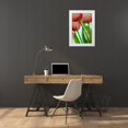 thumbnail image 3 of Jaynes Gallery 11x14 White Modern Wood Framed Museum Art Print Titled - Tulips in ice, 3 of 4