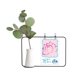 thumbnail image 1 of Jarrones colgantes de vidrio transparente Unbranded Planta de flor de Lotus Flower Pattern, 1 of 4