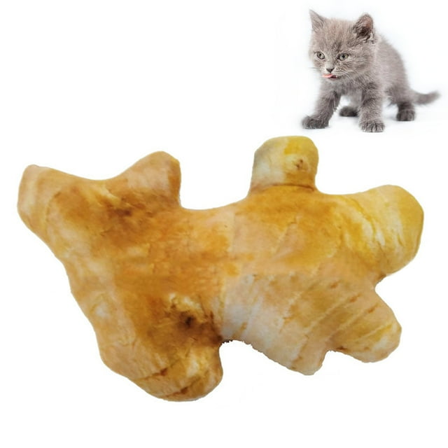 Pet Toy Creative Artificial Vegetables Pet Squeak Toy Pet Bite Toy for Cats Dogs