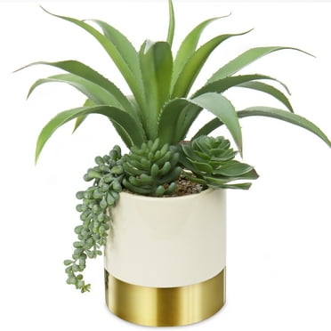 12 inch Fake Succulent Plants in Gold Ceramic Pot Artificial Succulent Plant 3 Types Succulents Group