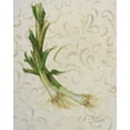 thumbnail image 2 of Pinto, Patricia 15x18 Black Ornate Wood Framed with Double Matting Museum Art Print Titled - Botanica II, 2 of 4