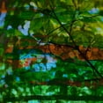 thumbnail image 2 of Jasper, Sisa 26x26 White Modern Wood Framed Museum Art Print Titled - Abstract Leaf Study IV, 2 of 4