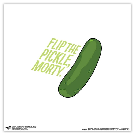 Gallery Pops Cartoon Network Rick and Morty - Flip the Pickle, Morty Wall Art, Unframed Version, 12" x 12"