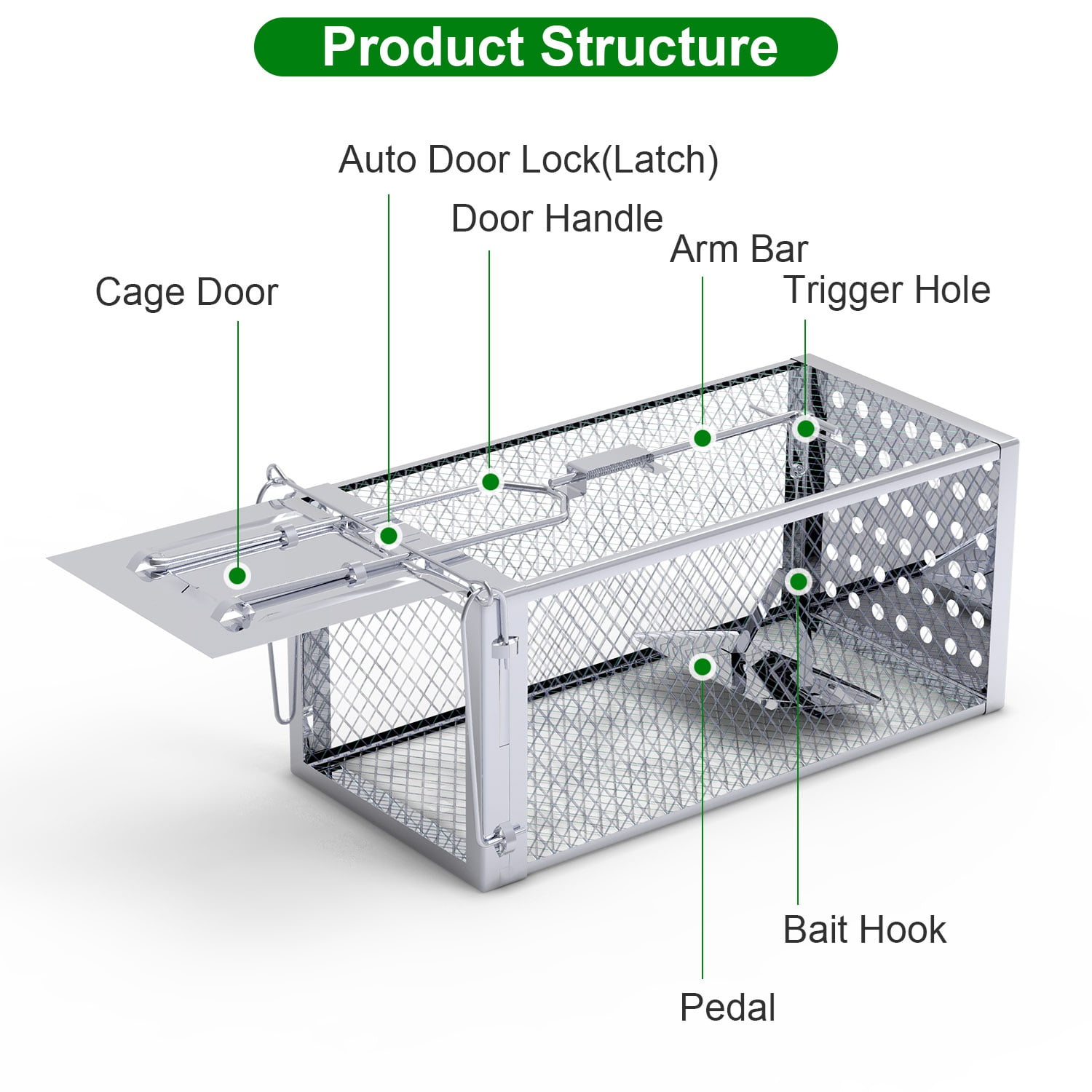 Stainless Steel Humane Live Animal Trap for Rats, Squirrels, Chipmunks & Mice - High Sensitivity Pedal, Auto-Lock Door - Safe for Indoor & Outdoor Use