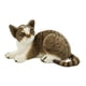 thumbnail image 3 of Lindo muñeco de gato, juguetes para mascotas, juguetes realistas para gatos, juguete hecho a mano, almohada suave y realista para gatos. Negro 25cm, 3 of 9