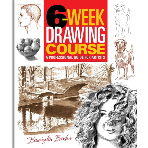 6-Week Drawing Course: A Professional Guide for Artists, (Paperback)