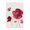 Red Poppy Blooms, variant on Stupell Industries French Country Flowers in Chinoiserie Vase Black Floating Frame Canvas Art, 17 x 21, by Franklyn Gregory