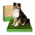 thumbnail image 3 of DoggieLawn Real Grass Puppy Pee Pads- 24 x 20 Inches - Perfect Indoor Litter Box for Dogs - No Mess, Easy-to-Use - Potty Training for Pets - Eco-Friendly Disposable Bathroom with Real Living Grass, 3 of 6