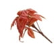 thumbnail image 2 of Home Decorations Fall Decor Artificial Silk Maple Leaves Branches Fall Stems Faux Maple Leaves For Wedding Bouquet Table, 2 of 5