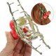 thumbnail image 5 of unbranded Pinzas De Metal Para Con Litchi Multicolor Para Fino Y, 5 of 8