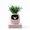 Pink, Gen 2, variant on ITIGOITIE Smart Flowerpot with Artificial Intelligence, Time & Temperature Display, Multiple Expressions, Ideal for Indoor Decoration & Gifts (Pink, Gen 2)
