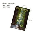 thumbnail image 3 of Lantern Press 1000 Piece Jigsaw Puzzle, Sonoma County, California, Redwoods, Pathway in Trees, 3 of 5