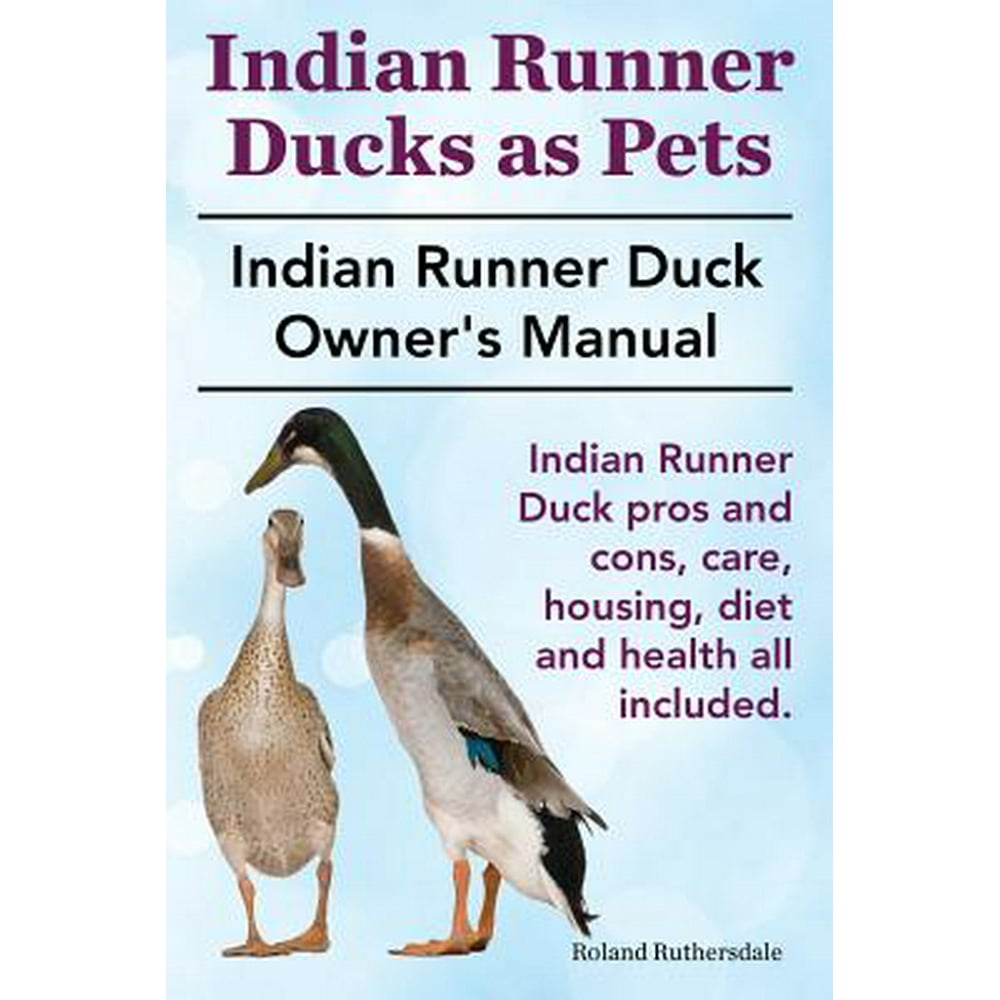 Indian Runner Ducks as Pets. Indian Runner Duck Pros and Cons, Care