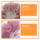 thumbnail image 4 of 1 pinza para el pelo con forma de corona para niños, con diamantes de imitación, adorables pinzas para el flequillo, accesorios para el cabello para niños, color marrón camafeo, 4 of 6