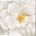 thumbnail image 3 of Great Art Now Neutral Rose by Ramona Murdock 2 Piece Canvas Art Set Each 14"W x 14"H, 3 of 3