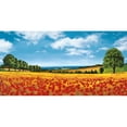 thumbnail image 3 of Arnolfi, Giorgio 14x9 Black Modern Framed Museum Art Print Titled - Prospettive sul mare, 3 of 5