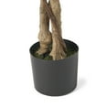 thumbnail image 3 of Harney 6' x 2.5' Artificial Tabletop Ficus Tree, Green, 3 of 5