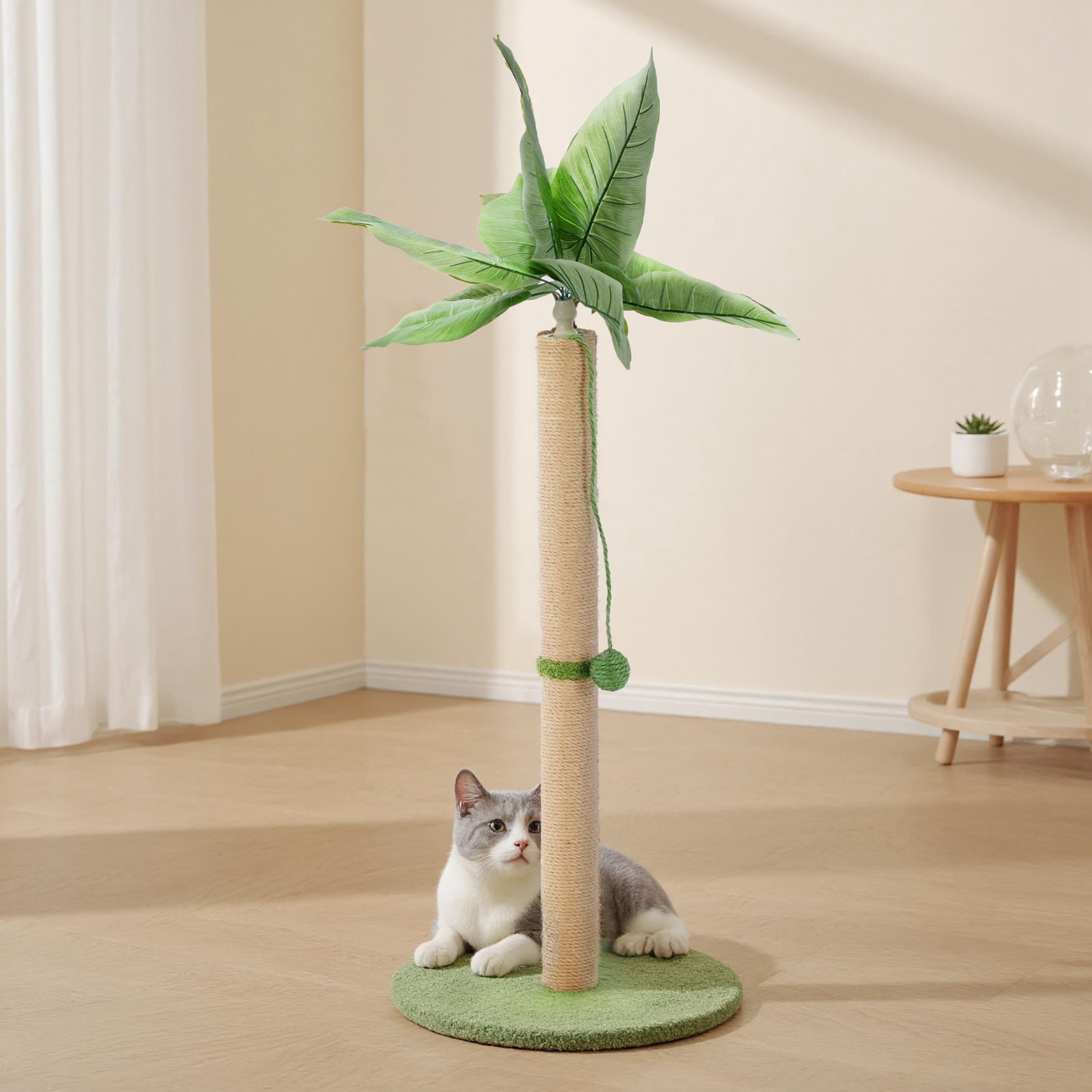EDX 33" Cat Scratching Post, Cat Scratcher Tall Scratching Posts with Dangling Ball, Palm Tree Cat Scratch Post for Indoor Cats, Green