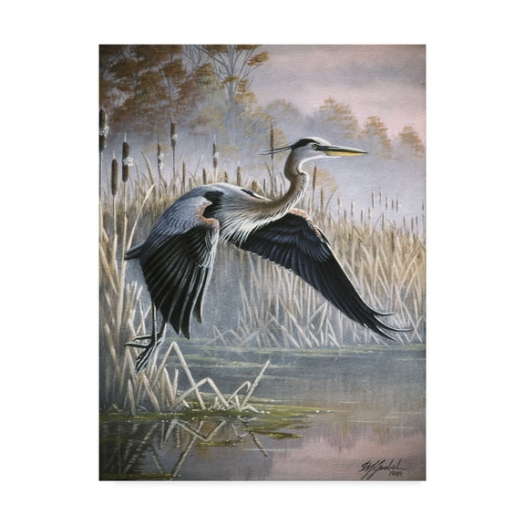 Trademark Fine Art 'Secluded Cove' Canvas Art by Wilhelm Goebel