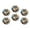 C1271, variant on Glass Refrigerator Magnet 6Pcs Magnetic Fridge Sticker,Decor for Kitchen,Whiteboard,Cabinet,Charming Raccoon In Floral Fantasy