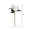 thumbnail image 3 of Vickerman VICK-FV190971 Vickerman 16" Pink Cream Peony Spray 6/Pk - FV190971, 3 of 3