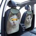 thumbnail image 3 of Kdxio Funny Cat Print 2 Pack Car Kick Mat Seat Cover Back Protector Mat with Pockets for Organizer Backseat Protector and Storage Anti Kick Pad for Vehicles, 3 of 9