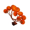 thumbnail image 3 of Lámpara de caqui para decoración de año chino, iluminación festiva práctica y creativa para exteriores, interiores, fiestas, jardín, casa y 15 m 10 ledes, 3 of 7