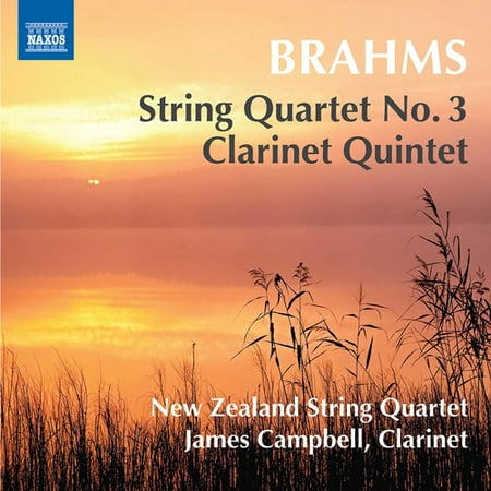 Johannes Brahms: String Quartet No 3 Clarinet
