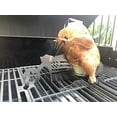 thumbnail image 4 of MERICA BIKER BEER CAN CHICKEN HOLDER FOR GRILL | WHOLE CHICKEN ROASTER STAND | GRILL TOOL | BEER CAN CHICKEN | ROASTING RACK WITH GIFT GLASSES FOR CHICKEN | BBQ TOOLS GRILL | BBQ ACCESSORIES, 4 of 5