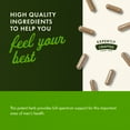 thumbnail image 5 of Swanson Saw Palmetto - Herbal Supplement Promoting Male Prostate Health Support - Natural Hair Supplement & Urinary Health Support - 540 mg 250 Capsules, 5 of 7