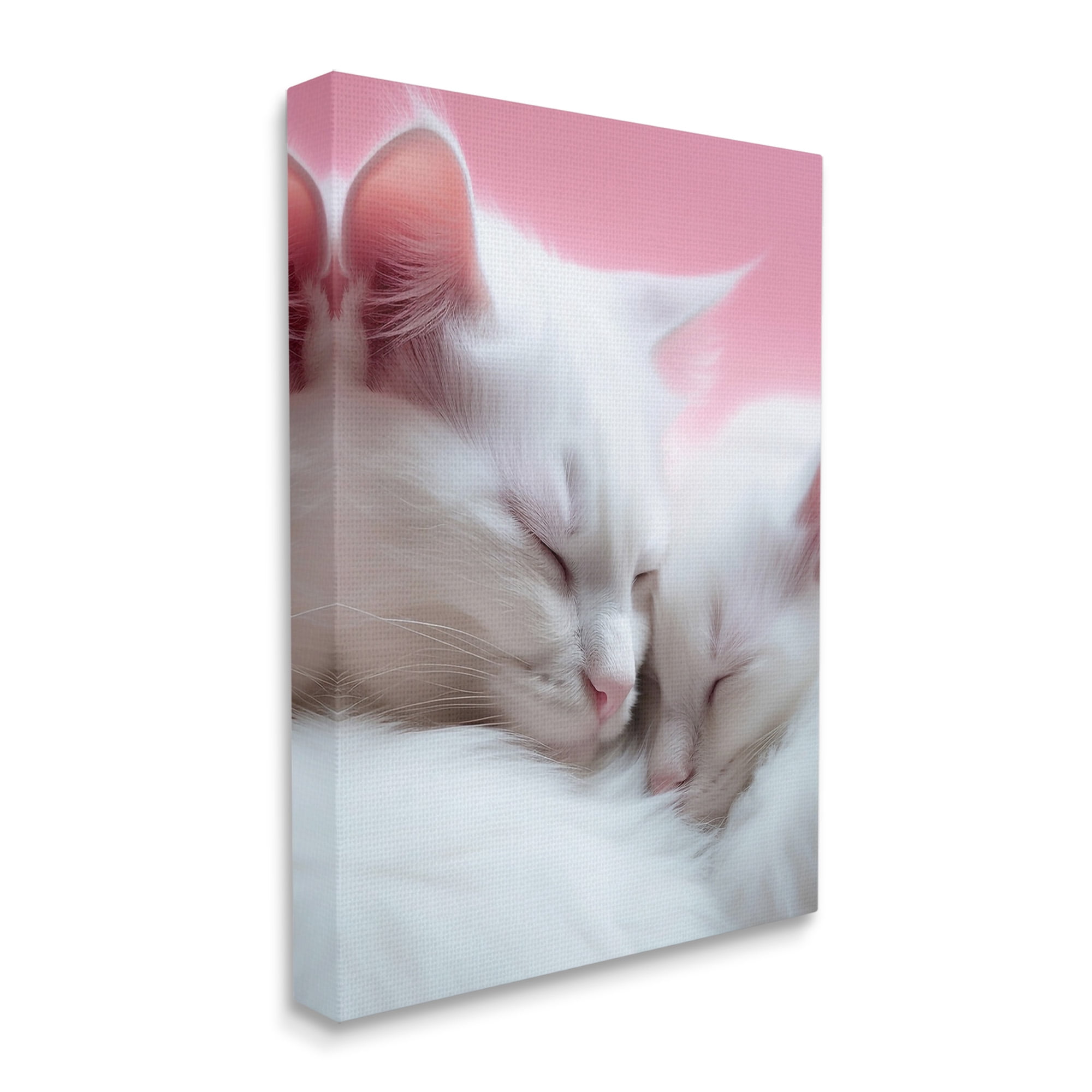 Stupell Industries Sleeping Cats on Pink Animals & Insects Painting Gallery Wrapped Canvas Art Print Wall Art, 24 x 30